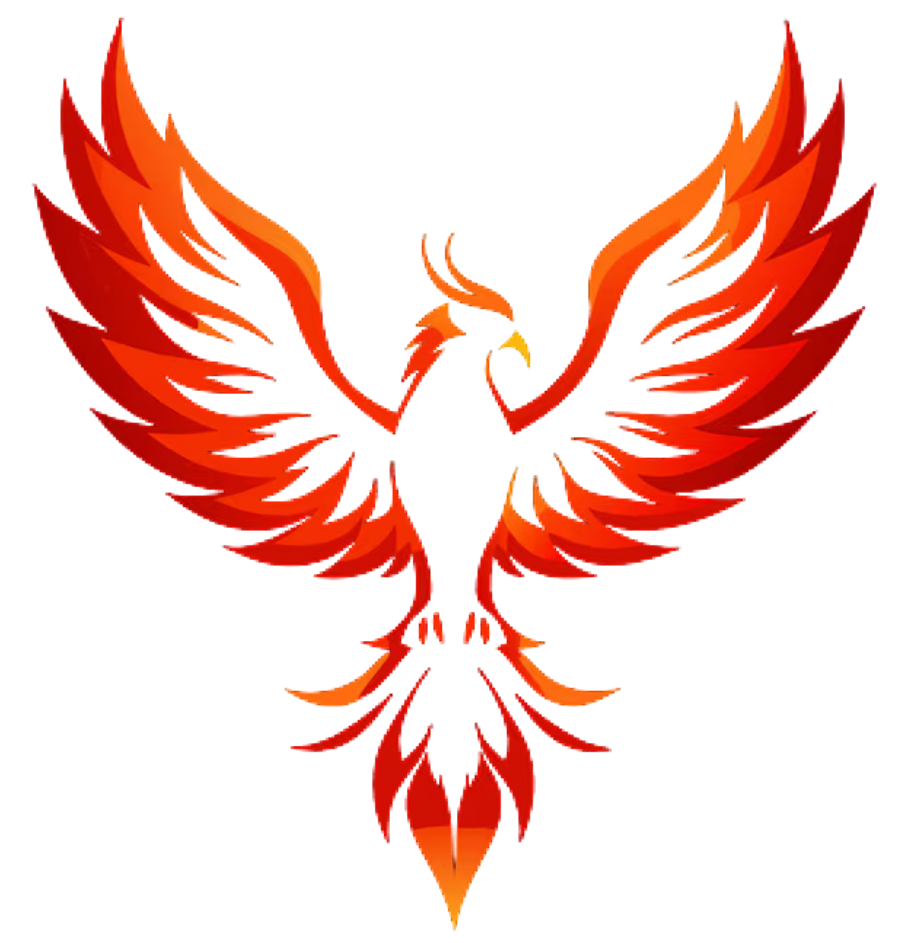 Project Phoenix